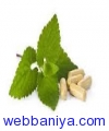 1349351266_livo.jpg