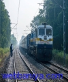 1651475491.jpg