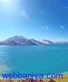 1653461625.jpg