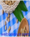 Webbaniya.com - B2B MarketPlace
