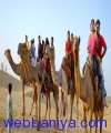 256021059_camel-safari.jpg