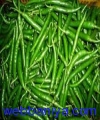 331483229_green-chilli-250x250.jpg