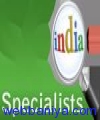 346551290_logo-seo-specialists-india.JPG