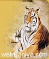 adventure-wildlife-tour12040.jpg