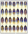balustrades4651.jpg