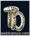 bangles5229.jpg
