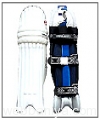 batting-pads2749.jpg
