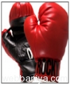 boxing-equipments2150.jpg