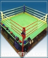boxing-ring14234.jpg
