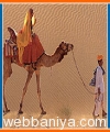 camel-safari-tour14630.jpg