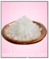 camphor4813.jpg