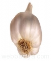 certified-organic-garlic-powder12689.jpg