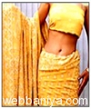 chikan-saree9238.jpg
