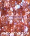cn-garnet13399.jpg