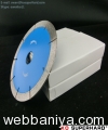diamond-segmented-circular-saw-blades15782.jpg