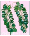 earings8578.jpg