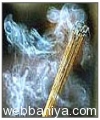fragrances3310.jpg