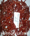 indian-spices14972.jpg