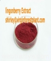 lingonberry-anthocyanin12446.jpg