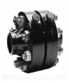 long-weld-neck-flanges10748.jpg