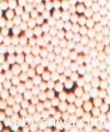 molecular-sieves-powder-3a-&-4a11632.jpg