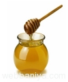 organic-honey12847.jpg