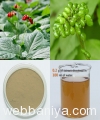 panax-ginseng-berry-(-fruit-)-extract13267.jpg