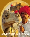 rajasthan-palace-tour14167.jpg