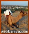 Webbaniya.com - B2B MarketPlace