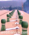 roof-ventilators11976.jpg