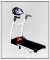 rowing2933.jpg