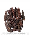 shikakai-(acacia-concinna)12942.jpg