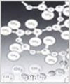 silicon-fluid11382.jpg