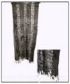 silk-scarves10003.jpg