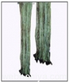 silk-woven-scraf9992.jpg