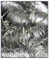 stainless-steel-scraps10165.jpg