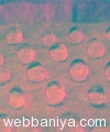 transparent-waterproof-coating11781.jpg