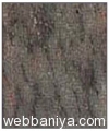 tropical-green-granite4554.jpg
