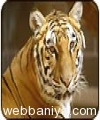wildlife-tour3069.jpg